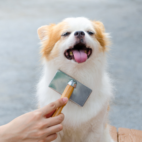 PurePupper Puppy Grooming Kits – starter care for young dogs