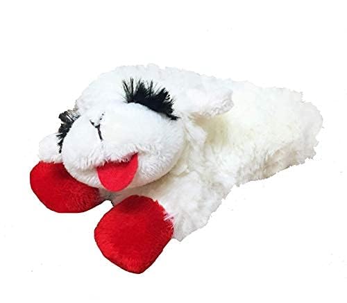 PAWISE Snuffle Ball for Dogs, Sniffle Treat Puzzle Toy, Dog Snuffle Balls, Snuffle Toy, Machine Washable, Foraging Sniffle Treat Ball for Puppies and Boredom Relief (Red Rainbow) (Medium)
