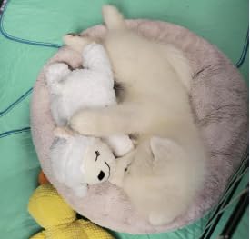 3T GROUP Heartbeat Puppy for Dogs Sleep Aid,Heartbeat Dog Toy for Puppy Essentials,Heartbeat Stuffed Animal Pillow Calming Plush Toys Anxiety Relief Lamb(White)
