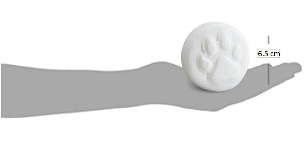 Jack59 Dog Grooming Bar with Conditioners for Skin - Organic, Vegan, pH Balanced, All-Natural Shampoo and Bath Bar for Puppies and Dogs, Gee Your Dog Smells Terrific, 80g