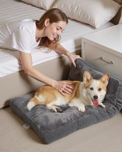 NUPIDA Dog Bed for Crate for Medium Large Sized Dog, Machine Washable Bed Plush Pet Kennel Pad with Non-Slip Bottom, Pet Sleeping Mat, 35x23 Inch, Dark Gray