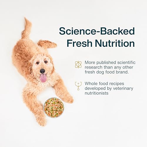 JustFoodForDogs Frozen Fresh Dog Food Topper, Variety Pack, Beef & Turkey Human Grade Dog Food Recipes, 5.5 oz (Pack of 18)