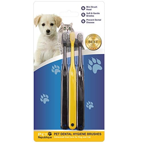 Pet Republique Cat & Dog Toothbrush - Designed for Cats, Kittens, Puppies & Small Dogs (6 Count)