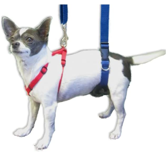 Dog Harness Step in Dog Vest Harness, Reflective Adjustable Puppy No Pull Harness Breathable Soft for Small and Medium Dogs Cats, Camo, S
