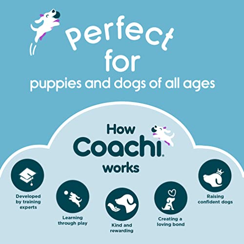 BETTEPROD Dog Chew Toys for Aggressive Chewers Large Breed,2 Pack Beef Flavor Indestructible Dog Teething Chew Toys Bones for Large/Medium/Small Puppies,Pet Toy with Nylon