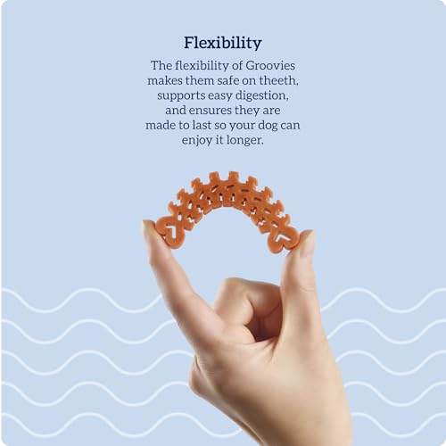 Nylabone Rib Bone Alternative Power Chew Toy for Dogs, Dog Toys for Aggressive Chewers, Beef Flavor, Large - Up to 50 lbs, 1 Count