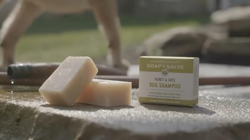 Chagrin Valley Soap & Salve Certified Organic Dog Shampoo and Conditioner – Dog Shampoo Itchy Skin Relief and Puppy Essentials - Natural Handmade Honey & Oats, 3.8 oz Bar Soap