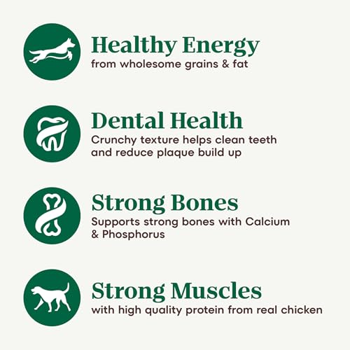 Nutro Natural Choice Senior Small Breed Dry Dog Food, Chicken and Brown Rice Recipe, 5 lbs.