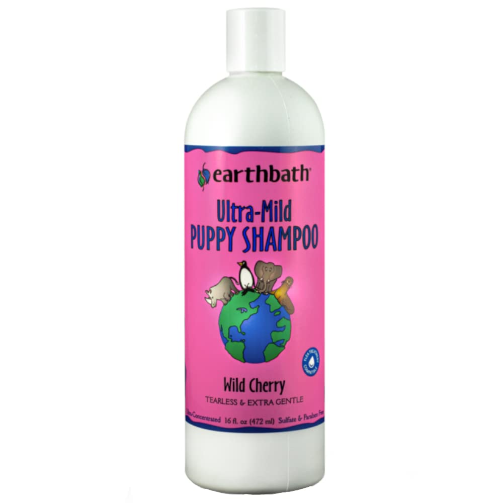 earthbath Oatmeal & Aloe Dog Shampoo & Conditioner - Dog Wash, Helps Dry Itchy Skin, Made in USA, Fragrance-Free, Pet Bathing Supplies - 16 oz (1 Set)