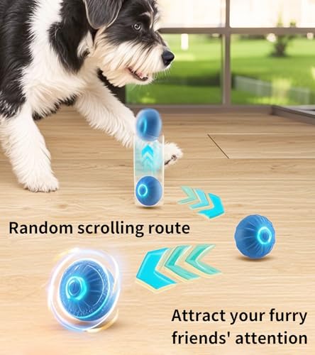 Interactive Dog Toys, 2025 lnteractive Dog Toys Moving Dog Toy Rechargeable Active Moving Pet Plush Toy Keep Pets Busy, Puppy Toys Talking Jumping Music Ball for Small Medium Large Breed