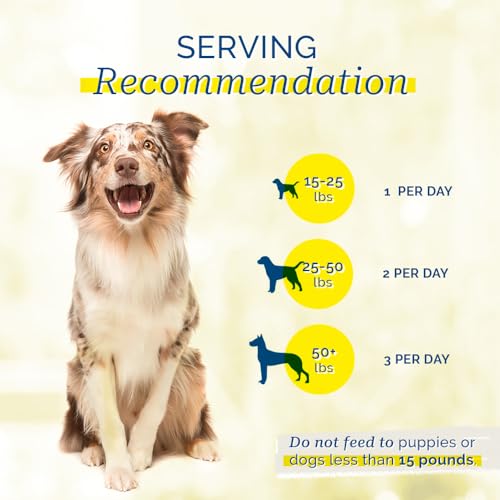 PCI Pet Center, Inc. Duck Breast Cutlets for Dogs - 100% Natural Dog Treats - Premium Quality, Single Ingredient Raw Dehydrated Chews - USA Made - No Additives - Delicious, Healthy Snack - 1lb