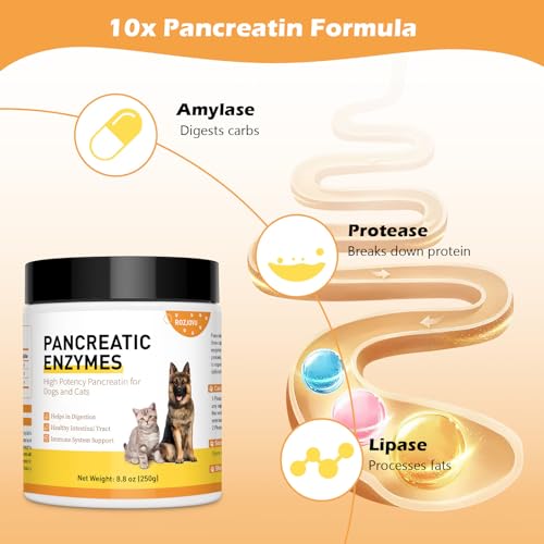 Pancreatic Enzymes for Dogs (8.8 Oz) | 10x Pancreatin Formula | Digestive Enzymes for Dogs with EPI | Helps Restore Normal Weight, Supports Digestive Stress and Pancreatic Issues
