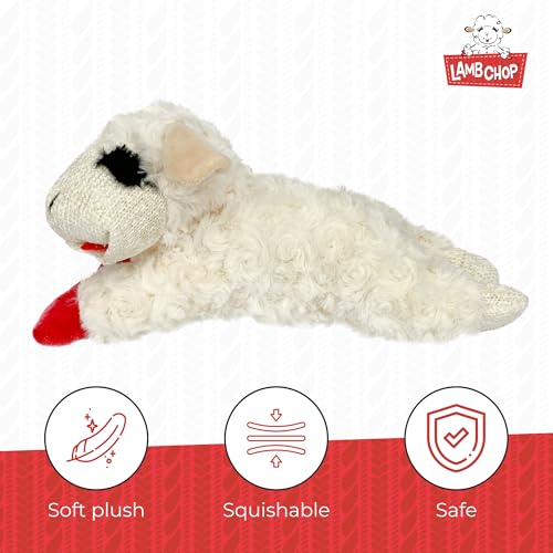 PAWISE Snuffle Ball for Dogs, Sniffle Treat Puzzle Toy, Dog Snuffle Balls, Snuffle Toy, Machine Washable, Foraging Sniffle Treat Ball for Puppies and Boredom Relief (Red Rainbow) (Medium)