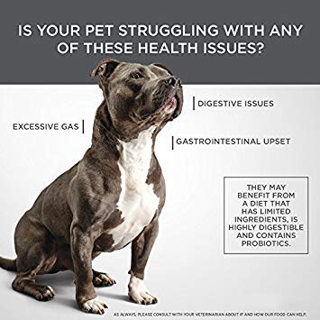 Diamond Care Sensitive Stomach Recipe Specially Made As A Limited Ingredient Diet to Support Dogs with Sensitive Stomach & Digestive Issues, 8lb, Model:9243_8_WHG