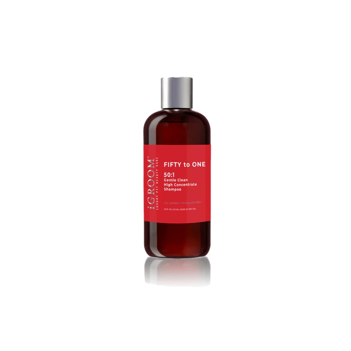 iGroom 50 to 1 Dog Shampoo - Delightfully Fragranced & Highly Concentrated – Best Dog Shampoo - Groom Like Professional - Environmentally Sustainable – Sooth & Nourish Coat - Made in USA, 16 oz