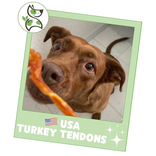 Nature Gnaws USA Turkey Tendons for Dogs (4oz) - Delicious Grain Free Reward Snack for Small, Medium & Large Breeds - Premium Natural Dog Chew Treats