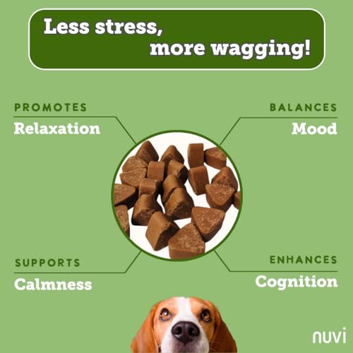 Nuvi Harmony & Behavior Calming Soft Chews for Dogs | Non‑Drowsy Anxiety & Stress Relief Supplement with L‑Tryptophan, Lemon Balm & L‑Theanine | 90 Soft Chews