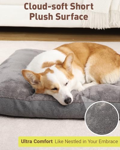 NUPIDA Dog Bed for Crate for Medium Large Sized Dog, Machine Washable Bed Plush Pet Kennel Pad with Non-Slip Bottom, Pet Sleeping Mat, 35x23 Inch, Dark Gray