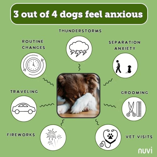 Nuvi Harmony & Behavior Calming Soft Chews for Dogs | Non‑Drowsy Anxiety & Stress Relief Supplement with L‑Tryptophan, Lemon Balm & L‑Theanine | 90 Soft Chews