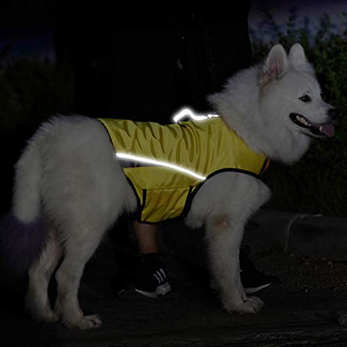 Dog Anxiety Jacket Keep Calming Vest Thunder Coat with D-Ring and Training Handle for Small Dogs