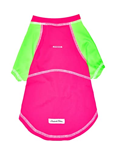 BADQIAO Pet Olfactory Feeding pad Dog cat Interactive Puzzle Toy Natural Foraging Tool (4 Color)