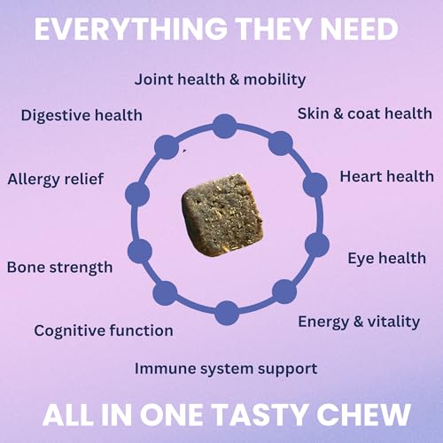 Under the Weather Multivitamin for Dogs | Vet Formulated Daily Canine Health Supplies for Immunity, Skin, Coat & Joint Support | All-in-One Multivitamin for Dogs of All Breeds & Sizes | 60 Count