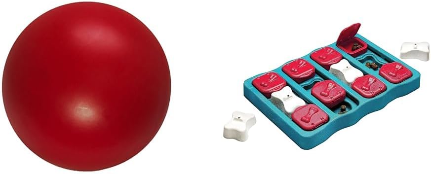 Outward Hound Nina Ottosson Dog Brick Dog Puzzle Interactive Treat Puzzle & Enrichment Toy