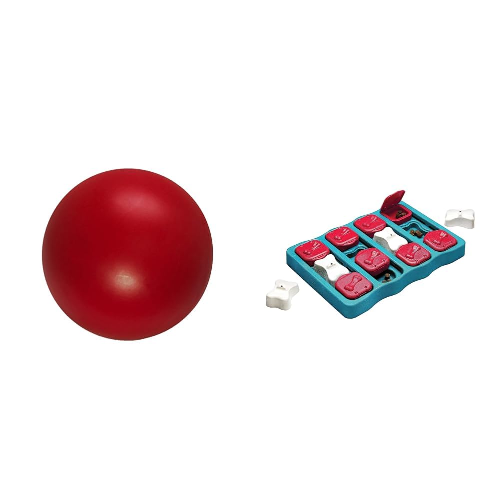 Outward Hound Nina Ottosson Dog Brick Dog Puzzle Interactive Treat Puzzle & Enrichment Toy