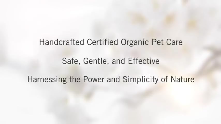Chagrin Valley Soap & Salve Certified Organic Dog Shampoo and Conditioner – Dog Shampoo Itchy Skin Relief and Puppy Essentials - Natural Handmade Honey & Oats, 3.8 oz Bar Soap