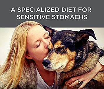 Diamond Care Sensitive Stomach Recipe Specially Made As A Limited Ingredient Diet to Support Dogs with Sensitive Stomach & Digestive Issues, 8lb, Model:9243_8_WHG