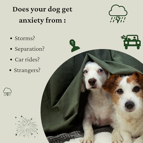 Elevated Pets Calming Dog Treats for Anxiety Relief – Melatonin, Chamomile & L-Theanine | Sleep & Stress Support for Travel, Thunder, Barking