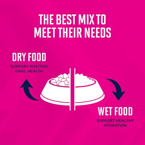 Eukanuba Adult Lamb 1st Ingredient Dry Dog Food, 30 lb