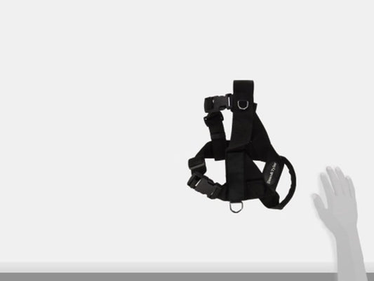 Dean & Tyler DT Universal No Pull Dog Harness - Convertible with Adjustable Straps - Strong Neoprene Nylon - Great Harness For Small - Medium Breeds - Size Small - Will Fit Girth Size 24"- 27" - Stop Your Dog From Pulling. Made in Europe