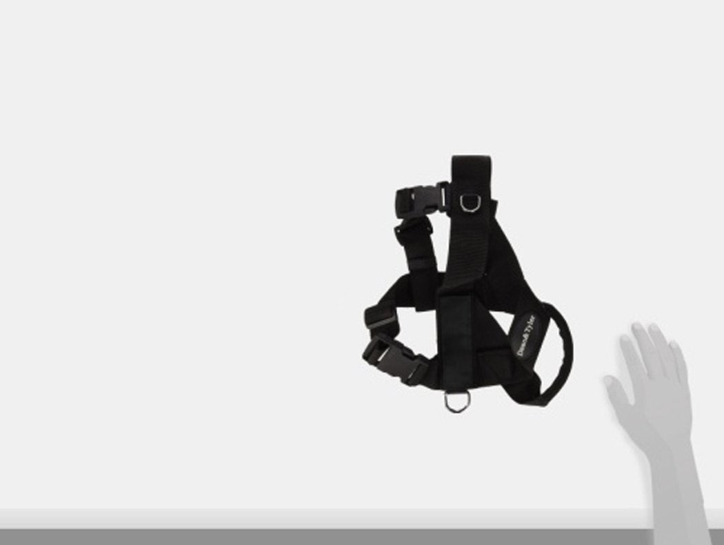 Dean & Tyler DT Universal No Pull Dog Harness - Convertible with Adjustable Straps - Strong Neoprene Nylon - Great Harness For Small - Medium Breeds - Size Small - Will Fit Girth Size 24"- 27" - Stop Your Dog From Pulling. Made in Europe