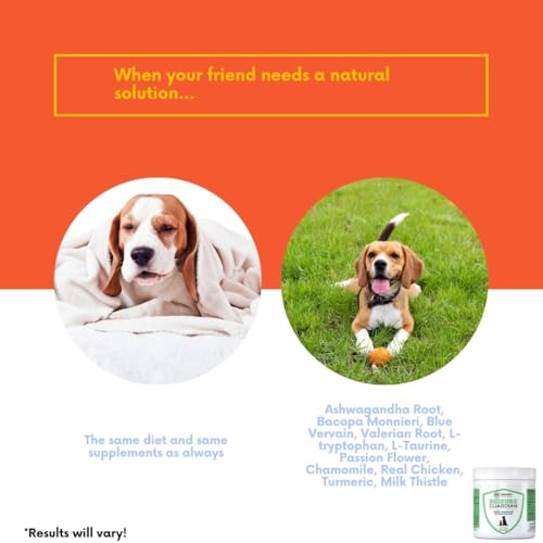 Seizure Support and Calming Aid for Dogs and Cats - All Natural Epilepsy and Seizure Aid. Ashwagandha, Blue Vervain, Valerian, L-tryptophan, L-Taurine, Chamomile, Milk Thistle, Turmeric.