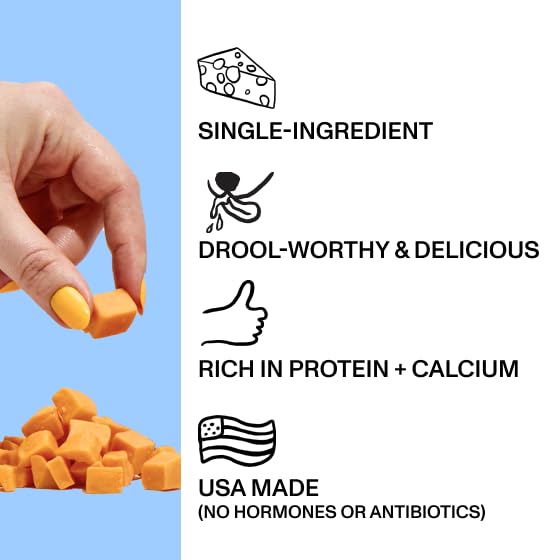 Spot & Tango Cheese Bites Dog Treats - Single Ingredient, 100% Cheese - Freeze-Dried, Grain & Gluten-Free - USA-Made - for Small, Medium, and Large Dogs