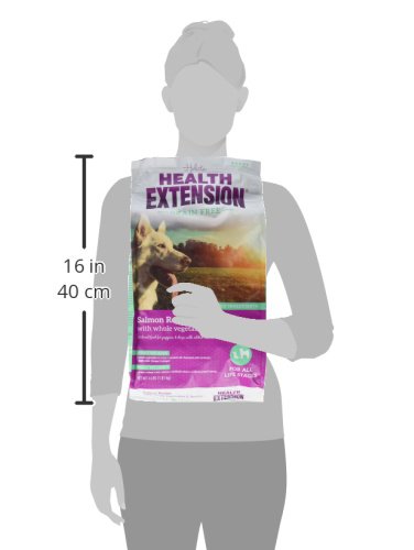 Health Extension Grain Free Salmon & Sweet Potato Dry Dog Food (4 lb / 1.81 kg) - Whole Foods Ingredients Formula with Omega 3 & Antioxidants for All Life Stages Dogs