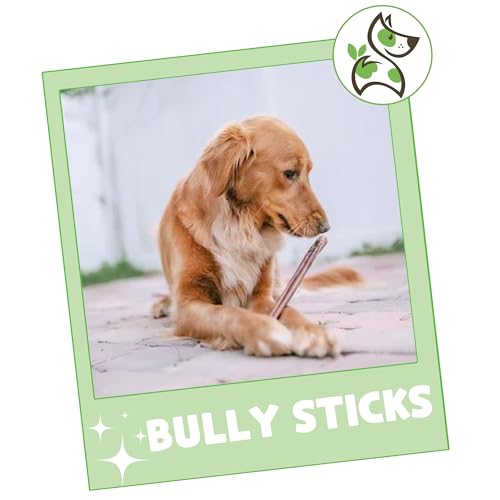 Nature Gnaws Bully Sticks for Dogs 11-12" (8oz) - Mixed Thickness - Long Lasting for Aggressive Chewers and Large Dogs - Natural Beef Dog Chew Bones