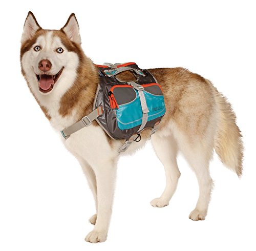 Cesar Millan Dog Backpack (Small)