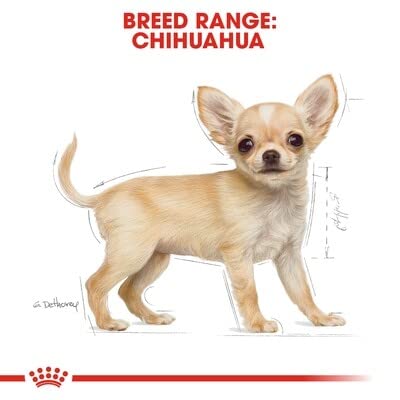 Royal Canin Breed Health Nutrition Chihuahua Puppy Dry Dog Food, 2.5 lb Bag
