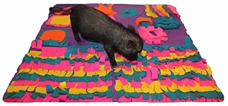 Piggy Poo and Crew Snuffle Mat for Dogs Pigs Rabbits Cats Small Animals Forraging Toy with Non Skid Backing