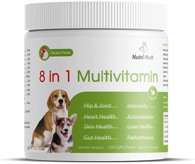 Dog Multivitamin Chews – 8-in-1 Supplement with Glucosamine, Probiotics, Omega, Enzymes – Joint, Skin, Coat, Immune & Digestion Support – Natural Chicken Flavor – 120 Soft Chews