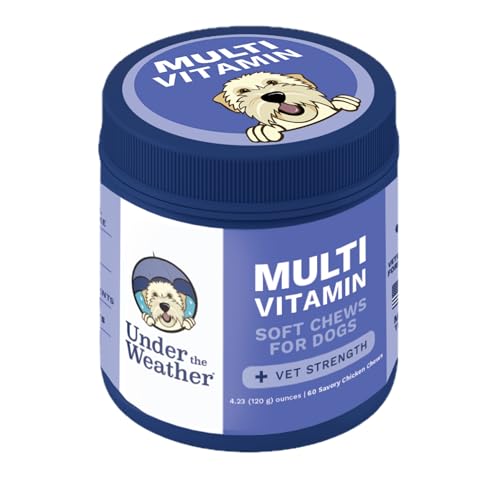 Under the Weather Multivitamin for Dogs | Vet Formulated Daily Canine Health Supplies for Immunity, Skin, Coat & Joint Support | All-in-One Multivitamin for Dogs of All Breeds & Sizes | 60 Count