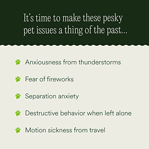 pawTree Chillax - Natural Calming Hemp Chews for Dogs and Cats - Formula to Relieve Stress and Tension; Ease Travel, Separation Anxiety and Soothe Fear - Small Soft Chews (60 Count)