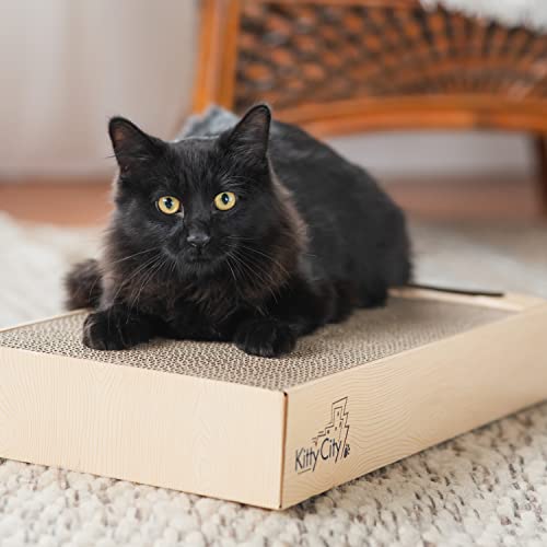 Chew King Premium Treat Dog Toy, Medium, Extremely Durable Natural Rubber Fillable Toy Collection, Frozen Feeding, All Breed Sizes