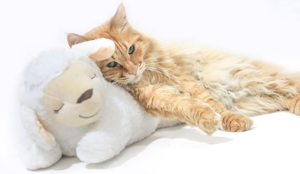 HonourHope Dog Heartbeat Toy for Anxiety Relief, Soft Plush Pet Calming Aid - Sheep