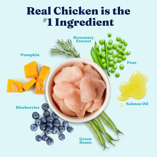 Solid Gold Healthy Weight Management Dry Dog Food for Adult & Senior Dogs - Real Chicken, Probiotics & Omega 3 Fish - Grain Free Dry Dog Food for Healthy Weight & Gut Health - Nutrientboost – 22LB