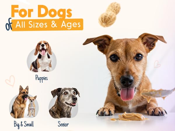 Blue Buffalo True Solutions Skin & Coat Care Natural Dry Dog Food for Adult Dogs, Salmon, 4-lb. Bag