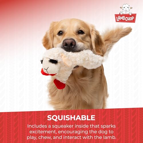 PAWISE Snuffle Ball for Dogs, Sniffle Treat Puzzle Toy, Dog Snuffle Balls, Snuffle Toy, Machine Washable, Foraging Sniffle Treat Ball for Puppies and Boredom Relief (Red Rainbow) (Medium)