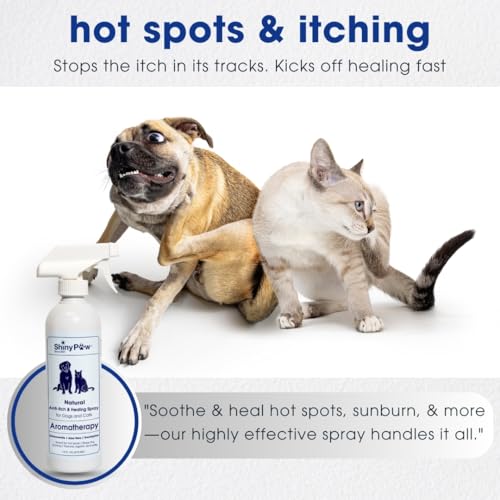 Dog Itch Relief Spray by Shiny Paw 16 oz | Aloe Vera & Eucalyptus Skin Itch Remedy | Dog Hot Spot Spray | Natural Anti Itch Spray for Pets | Dog Itchy Skin Relief | Made in USA